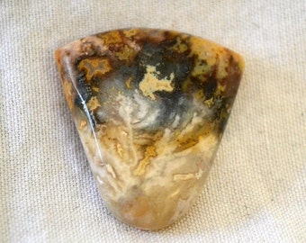 Graveyard plume agate. 26 x 28 x 6.5 mm