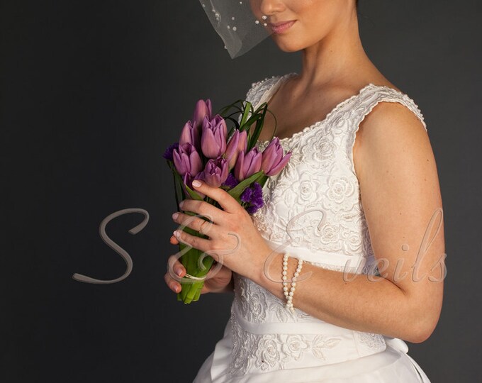 Birdcage designed with pearls, bridal veil, wedding veil