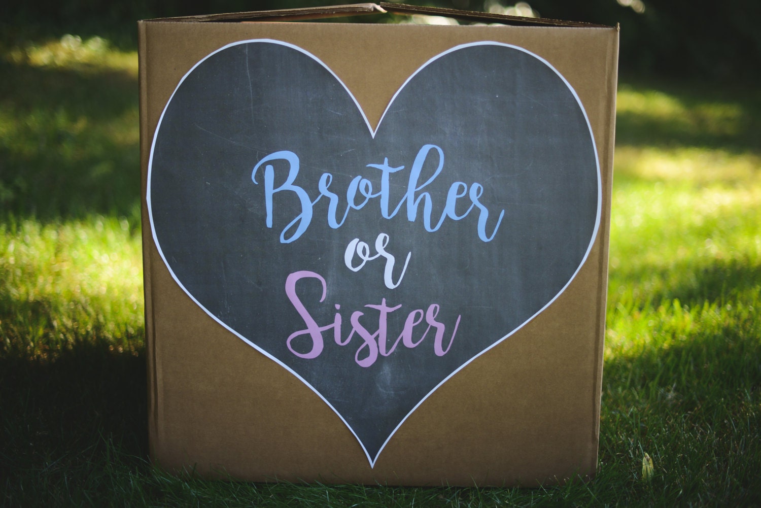 Brother or Sister gender sibling reveal balloon box sign