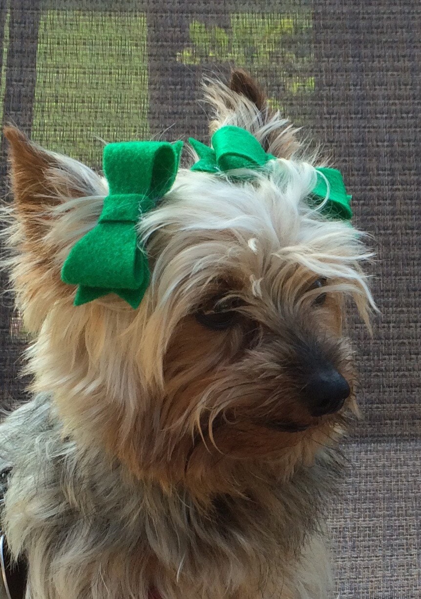 Dog Hair Bow Hair Bow. Dog Hair. Green.