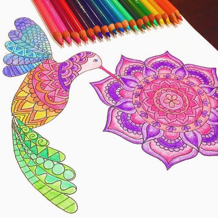 Download Humming Bird Coloring Page download Mandala coloring page