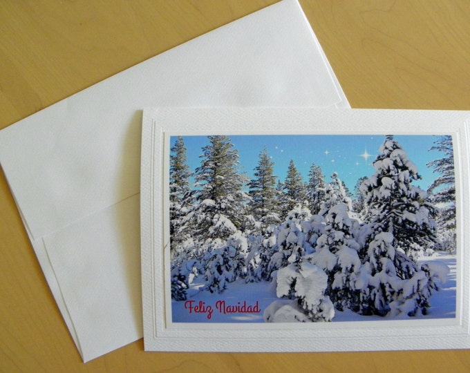 FELIZ NAVIDAD Cards - 12 Cards and Envelopes AND Free Shipping too!