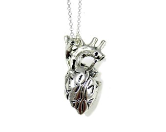 Anatomical Heart Necklace, Quirky Gift For Him, Oddities, Curiosities, Taxidermy Jewelry, Gothic Jewelry, Medical Student Gift, Alternative