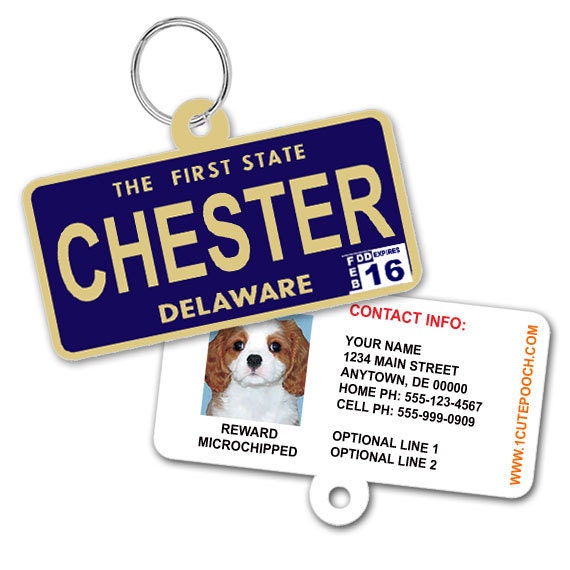 Delaware License Plate Custom Pet ID Tag Dog ID Tag