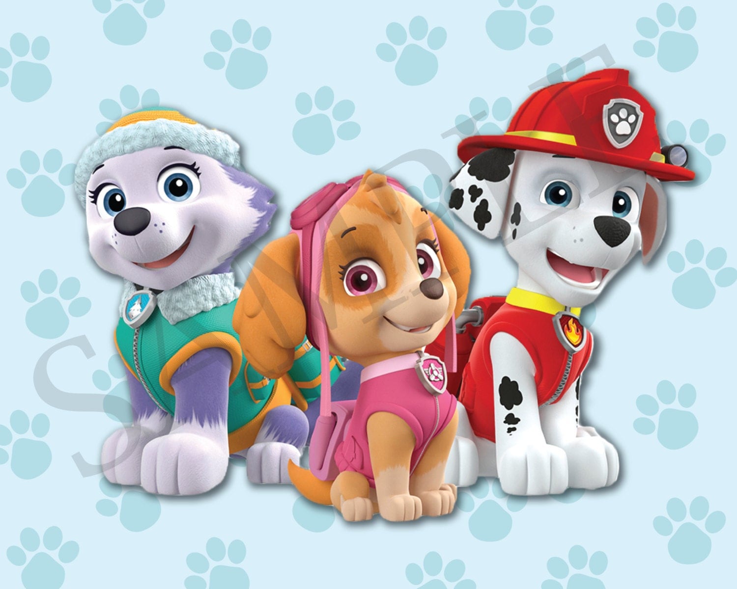 Paw Patrol Wall Art 8x10 Skye Marshall Everest DIGITAL