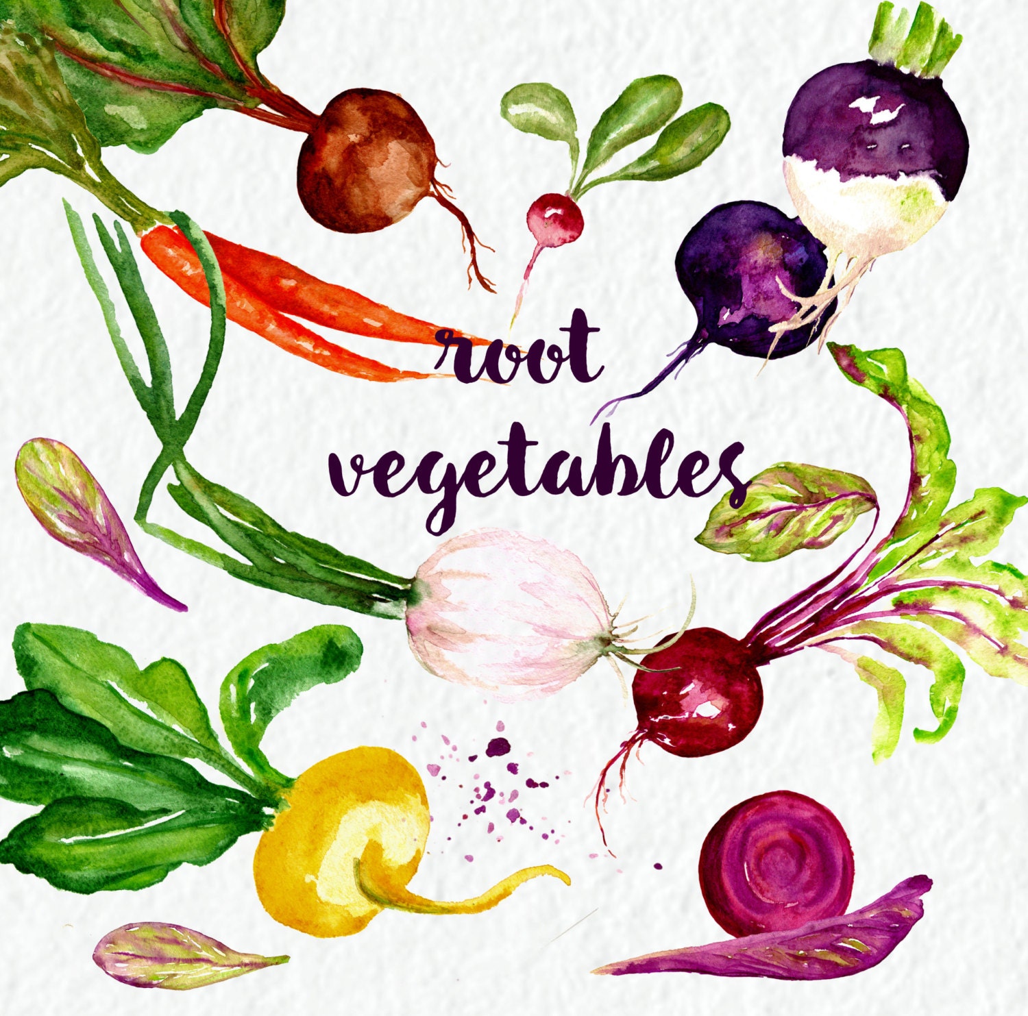 Vegetables watercolor clipart. Digital clipart hand drawn. SET