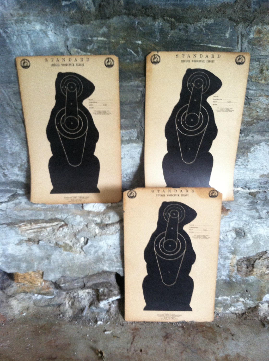 Groundhog Target Woodchuck Archery Hunting Animal Black White