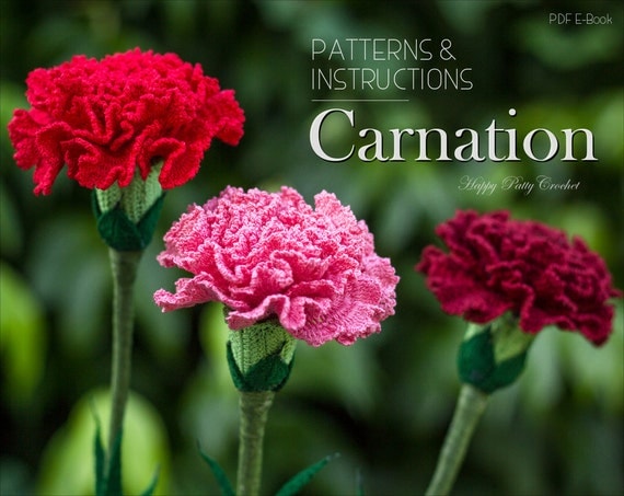 Crochet Carnation Pattern Croche Flower Pattern Carnation