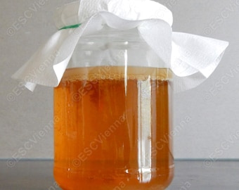 Premium Heirloom Kombucha SCOBY incl. starter