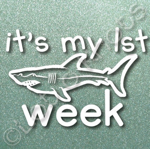 Download Items similar to It's my 1st Shark Week · {svg, dxf, jpg ...