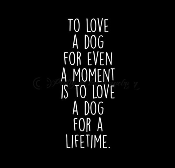 To Love A Dog 8 x 10 Art Print Prints for Pits