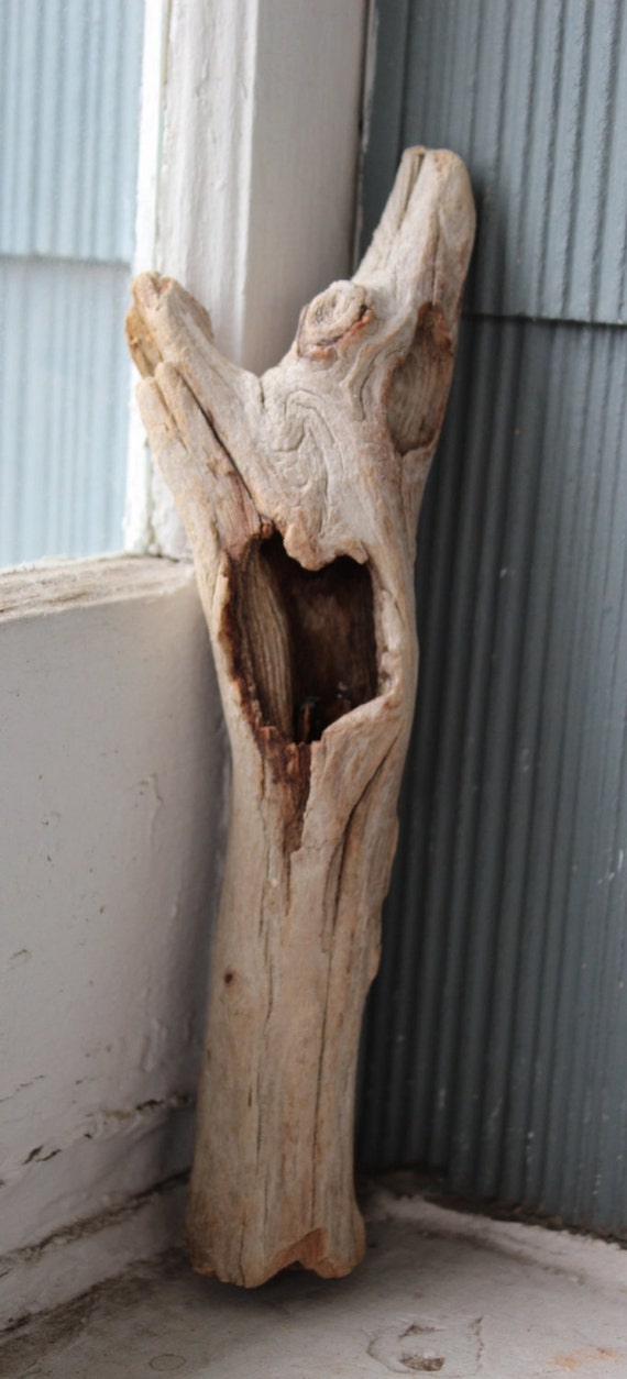 Unique Driftwood Piece Air Plant Holder Natural Home Decor