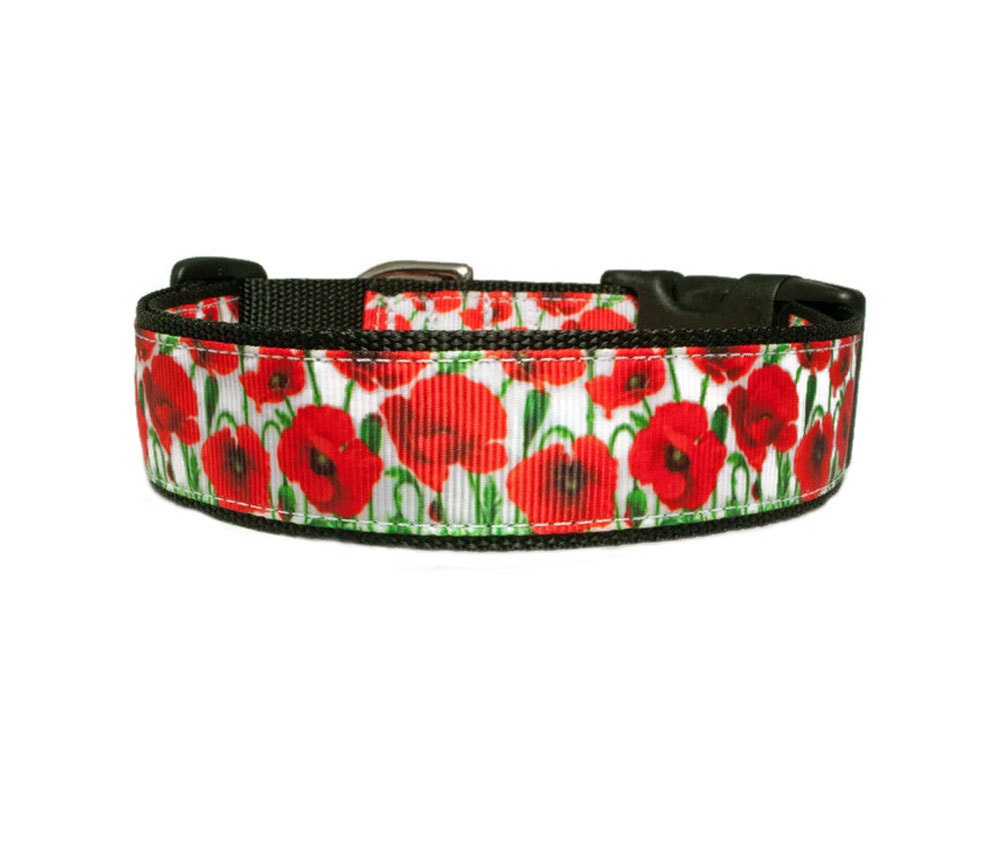 Poppy Flower Dog Collar 1 Black Dog Collar