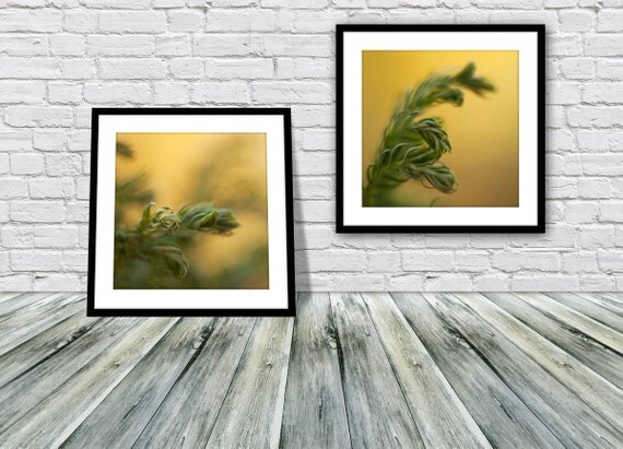 Bathroom Wall Decor Spa Wall Decor Zen Art by IonAnthosPhotography