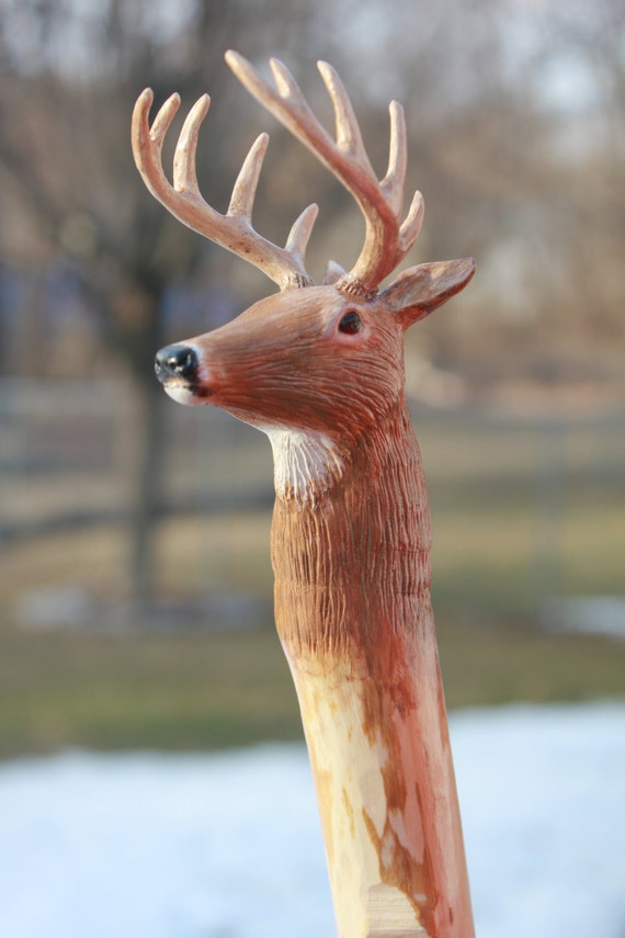 Whitetailed Deer Walking Stick