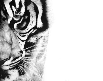 TIGER ART PRINT - bengal tiger painting, tiger oil painting, tiger decor, tiger gift, wildlife art, tiger wall art, tiger lover