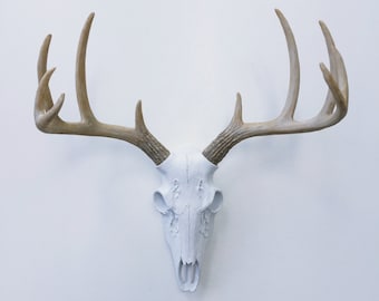 ANY COLOR Realistic Deer Skull Wall Mount / Fake Deer Antlers / Faux Taxidermy / Boho // Tribal Nursery // Animal Skull // Buck // Stag Head