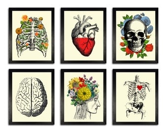 GIFT SET! Six Colorful Anatomy Art Prints, 8 x 10 Anatomy Posters, Wall Decor Set, Anatomical Home Decor Wall Art, Gift set for Husband