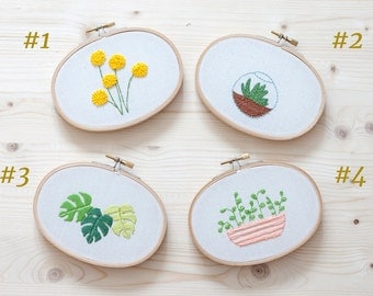 DECORATIVE plants - oval frame. Terrarium. Craspedia. Monstera. Pot.