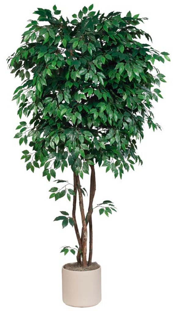 Items similar to 7.5' Artificial Silk Ficus Tree on Natural Dragonwood