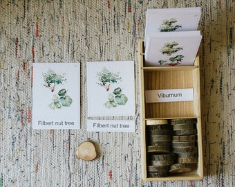 Montessori materials - Preschool toy - Educational wooden toy - Kind of tree 3 Parts Cards
