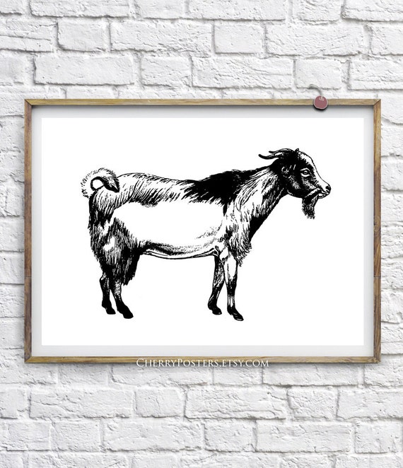 Goat Home Decor | goat print home decor wall art goat print goat Goat Home Decor | goat print home decor wall art goat print goat