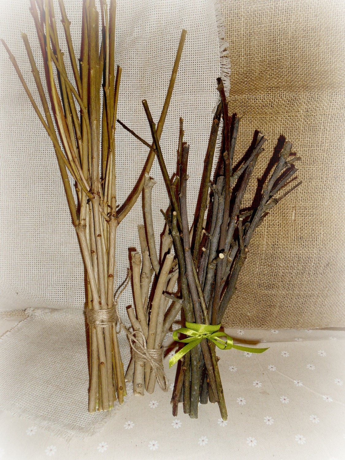 Wood Branches Set of 3 different kinds of branches Florist