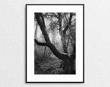 Unique fine art nude photo related items | Etsy