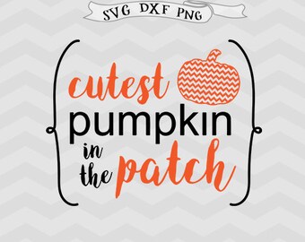 Cutest Pumpkin In The Patch SVG File Pumpkin Cut File Cricut downloads Thanksgiving SVG File Fall Autumn Cut File Cricut, Silhouette files