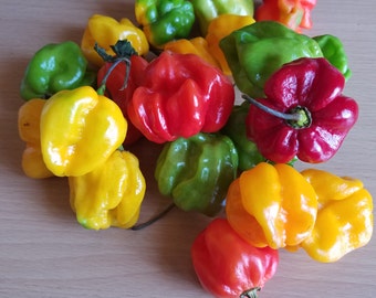 Whole Fresh Jamaican Scotch Bonnet Peppers 2oz Caribbean peppers. Tasty full of flavour hot peppers.