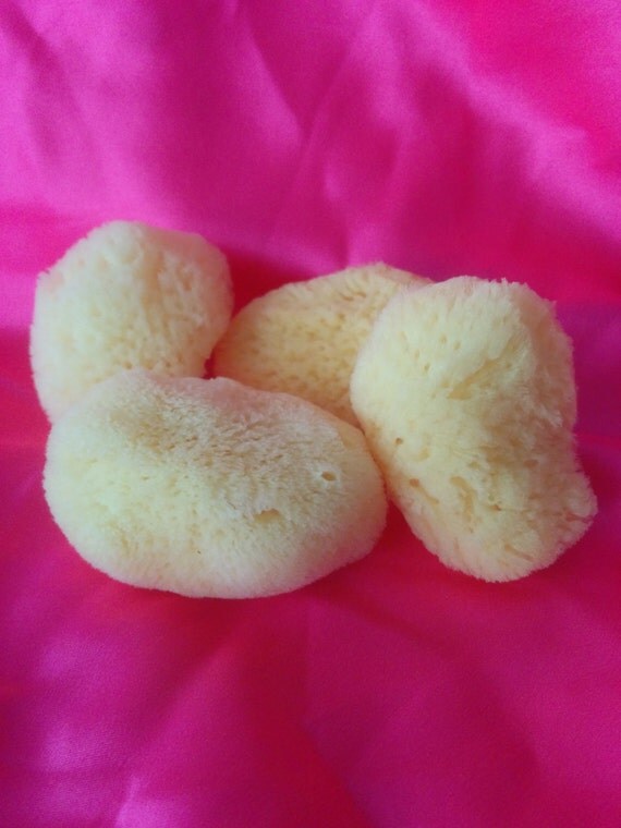 4 Sea Sponge Tampon Menstrual Sponge Reusable EarthFriendly