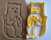 cc0123 Cookie Cutter Cat with middle finger sceptical cookiecutter cookies custom shape custom size custom picture mature
