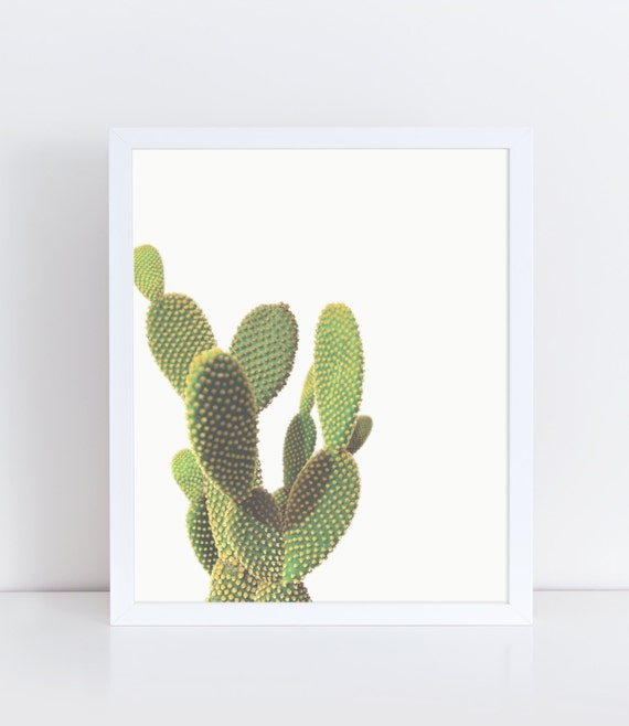  Minimalist Cactus  Printable Portrait Print Nature by 