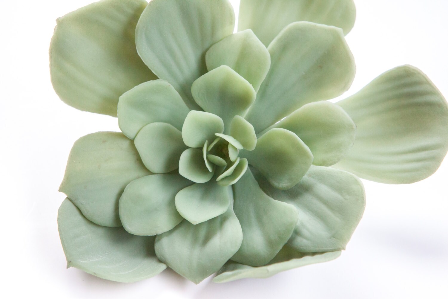 Fake Succulents Extra Large Artificial Succulent Echeveria