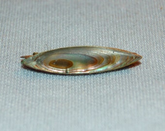 Vintage / C Clasp / Brooch / Abalone / Antique / old jewellery / jewelry
