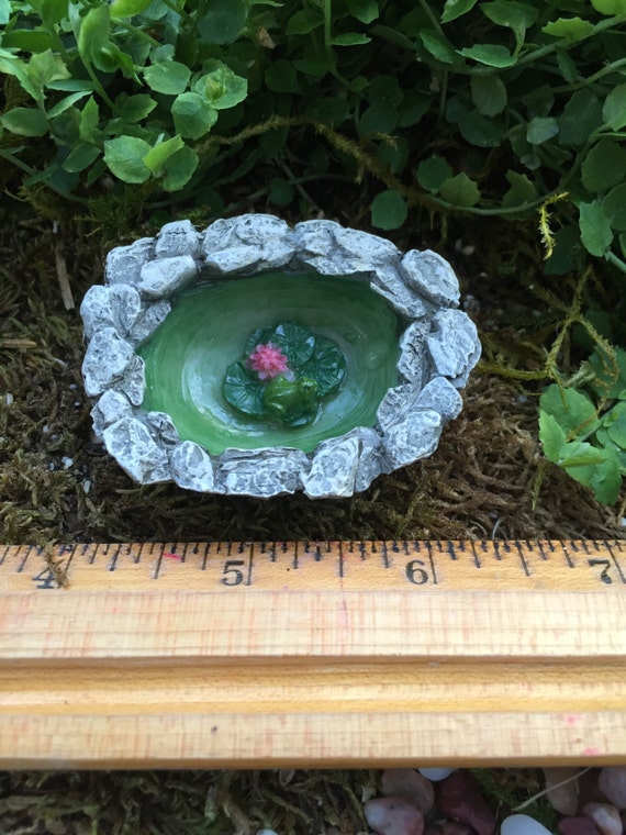 Micro Mini Frog Pond Fairy Garden Accessory Garden Decor