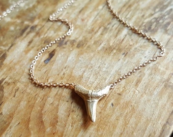 14K Gold Necklace Shark Tooth Necklace Shark Tooth Pendant Gold Shark Tooth Charm Womens Gift 14K Gold Chain Necklaces Mom Gift Girlfriend