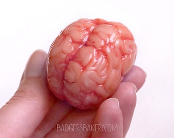 Miniature BRAIN, Halloween Prop for BJD Dolls, Blythe, Creepy Dollhouse Specimen