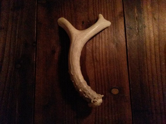 real Whole Deer Antler Handle for Cabinet Doors and Drawers