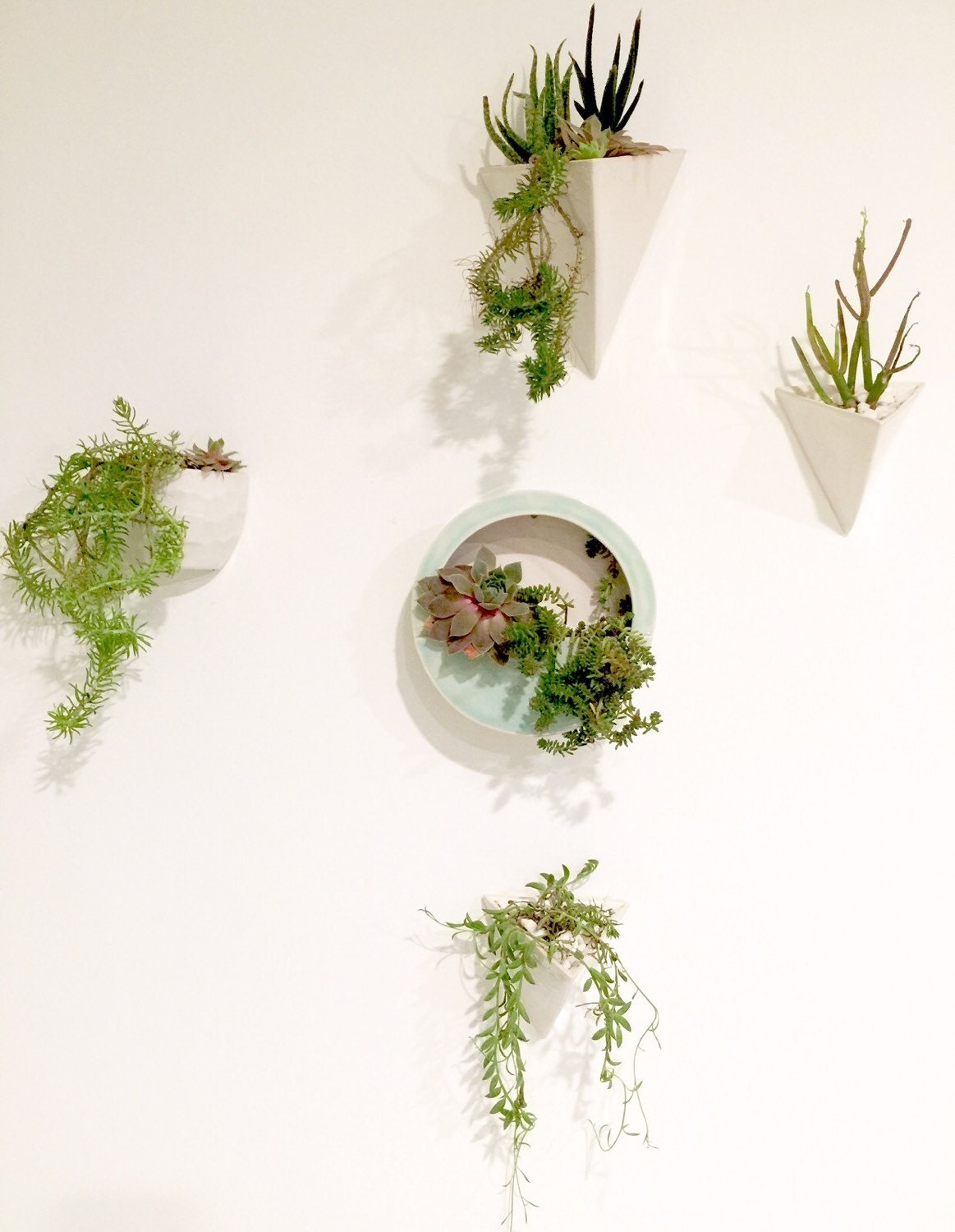 Round Capsule Wall Hanging Planter Vertical Garden by MuddyHeart