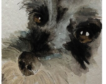 Schnauzer Dog Fine Art Print #117