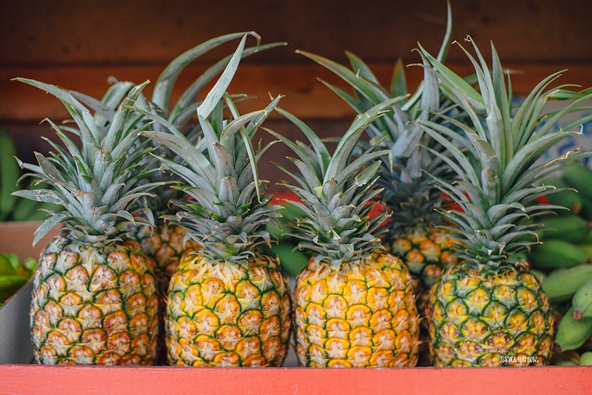 Hawaii Pineapples Fruit Art Kitchen Decor Hawaiian Fruits