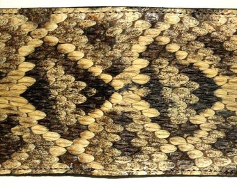 New Eastern Diamondback Rattlesnake Snake Skin Bifold Money