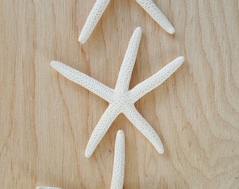 6 Small Finger Star Fish-Starfish-small starfish-crafting-shell supply-sea shells-nautical-beach home decor-luau-mermaid-white star-white