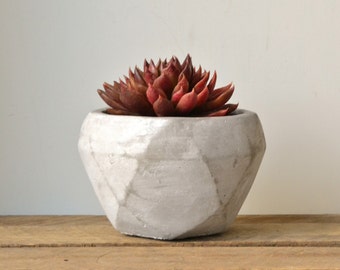 Geometric Faceted Concrete Planter
