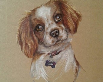 Pet portraits, custom hand drawn dog portrait sketch in watercolour pencil crayons, (A4), from photographs