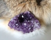 Amethyst Cluster