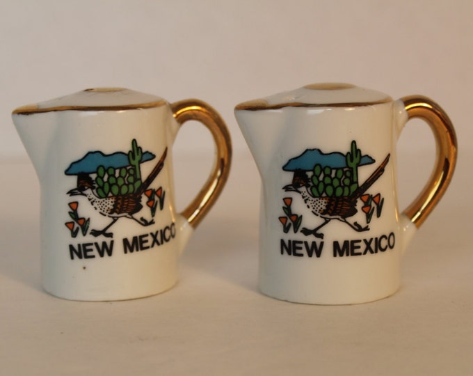 Vintage New Mexico Souvenir Salt and Pepper Shakers