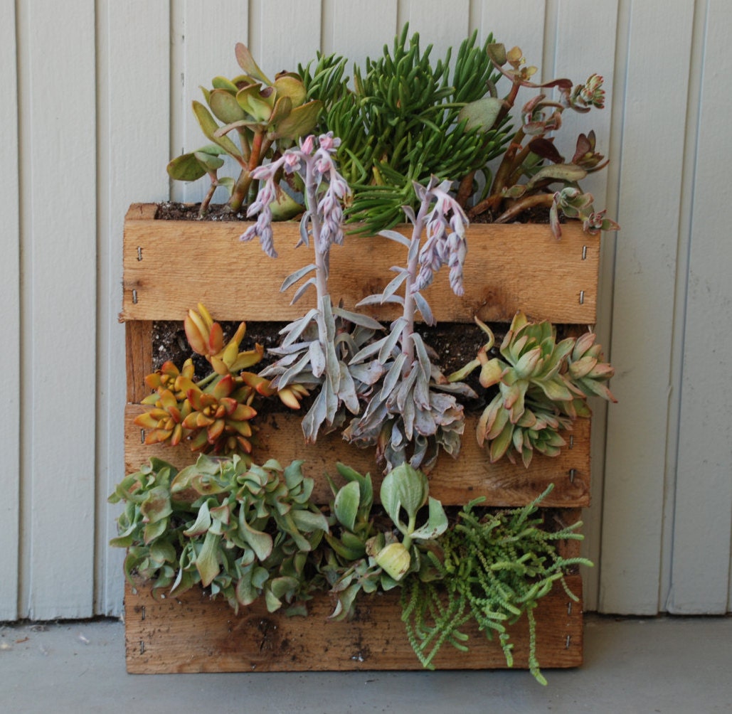 Small Succulent Pallet Planter by MakerDyer on Etsy