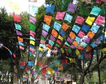 Mexican Papel Picado Banner | 5 meter (16ft) Banner with 10 Large Flags | Vibrant Handmade Mexican Party Decorations | Bulk Buy Discounts